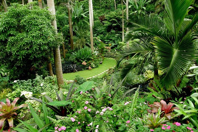 Andromeda Botanic Gardens